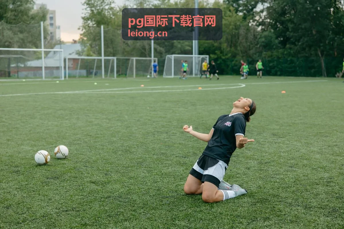 PG双端互通版安装包封面
