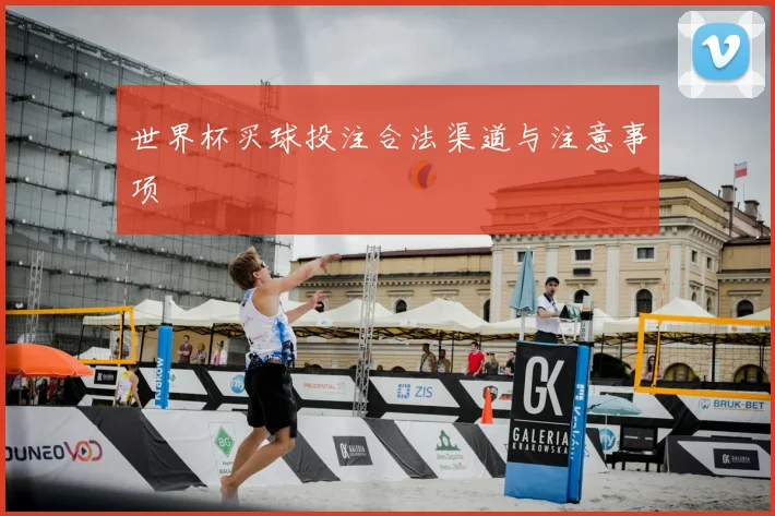 世界杯买球投注合法渠道与注意事项