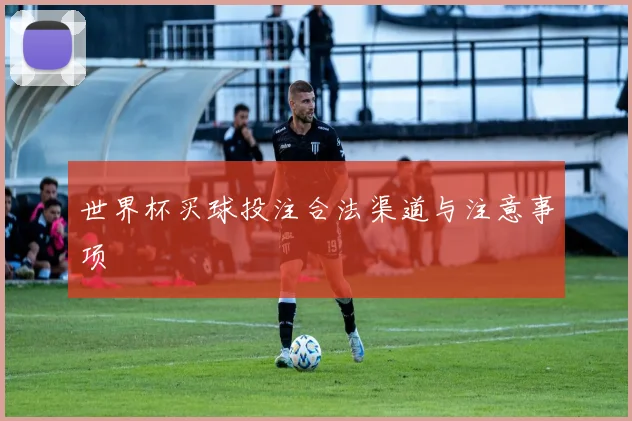 世界杯买球投注合法渠道与注意事项